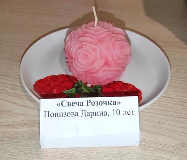 39Понизова Дарина